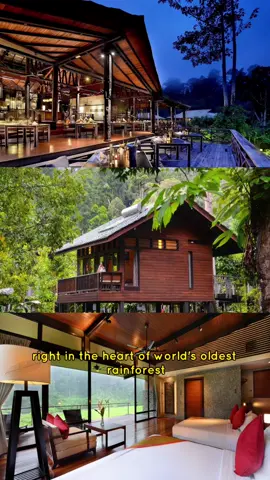 When I first came back to Malaysia a few years ago, I made it my life's mission to explore our beautiful country so If you didn't know that you can stay in Malaysia's lush rainforest, well now you know! Sempena 30 tahun memajukan Malaysia, jom bersama-sama Khazanah Nasional untuk menghargai masa lalu, meraikan hari ini dan membentuk masa hadapan. Share your story of our diverse treasures encompassing culture, nature, and history deserve to be preserved and appreciated & stand a chance to win travel vouchers when you join the Terokai Khazanah Malaysia contest. Checkout @khazanahnasional page for more info ! Terms & Conditions Applies! #KisahKitaDariLensa #TerokaiKhazanahMY #30TahunMemajukanMY / #30yearsAdvancingMY