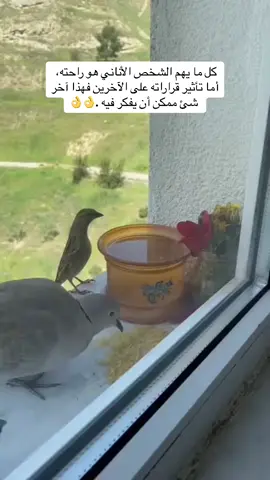 الشخص الاناني #اكسبلورexplore #viral #foryou #foryoupage 