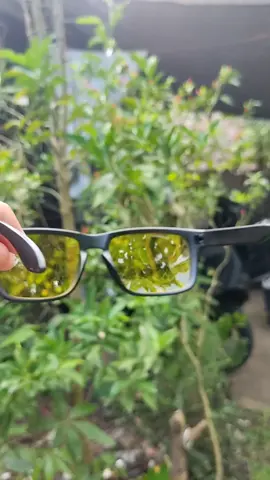 Dalwa Brand Driving Glasses Anti Glare HD Night vision Polarized Sunglasses #fyp #foryou #sunglasses #sunglass #polarizedsunglass 