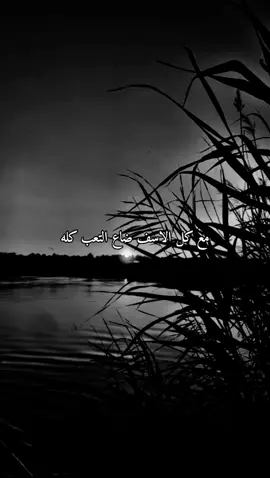 #اشعار__وقصايد #شعروقصايد 