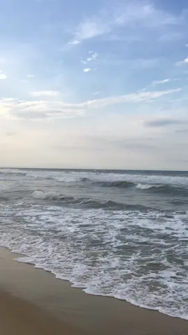 tất cả lỗi là tại anh em ơi, tất cả là tại anh..