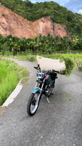 juragan lembu 🤣🤣  #rxkingaceh #rxking135cc #rxkingmedan #rxkingindonesia #rxking #rxkingnusantara #rxking #rxkingbandaaceh #motortua 