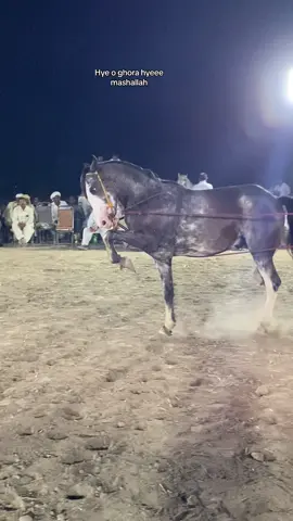 Eah ghora wah mashallah #foryou #foryoupage #ustadkhawarkhanbloch #nezabazi🐎 #kkbloch28 #ghoradance 