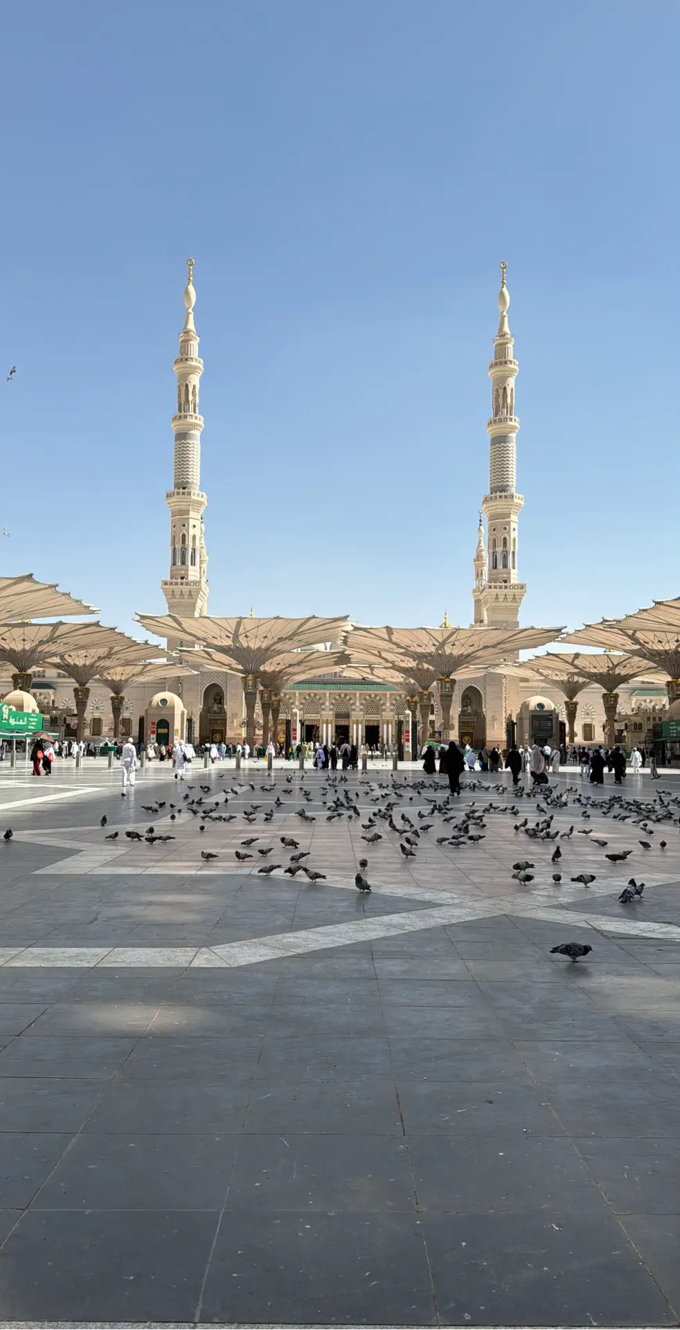 #الحرم_المدني #المدينه_المنوره #صور 