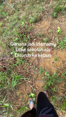 😜#fyp #sawitontiktok #petanisawit 