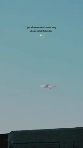 දැන් නම් එපාවෙලා තියෙන්නෙ 😓💔 #arush_🌿 #foryoupage #fyp #onemillionaudition #alone  #whatsappstatus #sinhalaquotes #viralvideo #pageforyou #sinhalastatusvideo #capcut #srilanka #aesthetic #1m 