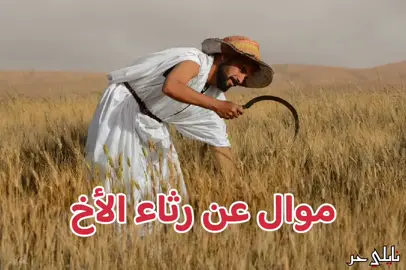#الجلفة #اولاد_نايل_لاحرار👑❤️ #شعب_الصيني_ماله_حل😂😂 #جلفة_مسيلة_بوسعادة_تيارت #نوايل_بانو_هنا_لي_يحبو_نوايل🙏😍 #oulednail #djelfawiiii #djelfa_17_aljeria🇩🇿 #djelfa 