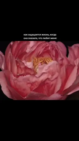 фон - @лантана #recomendation #любительница☆ #milkqtp #вернитеджоэла #тлоумояжизнь #paigebueckersismywife #fyp #fypシ #fypage #viral #viralvideo 