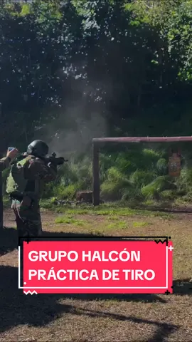 El Grupo Halcón es una unidad élite de nuestra Policía, entrenada con rigurosidad para intervenir en situaciones de emergencia y crisis.  Con las prácticas de tiro, los oficiales de este comando deben demostrar sus destrezas y habilidades en el manejo de armas largas y cortas.  Además, entrenan constantemente la velocidad de los movimientos y  la precisión de los disparos.  Trabajamos por una Provincia más segura. @Axel Kicillof  #FuerzaBuenosAires