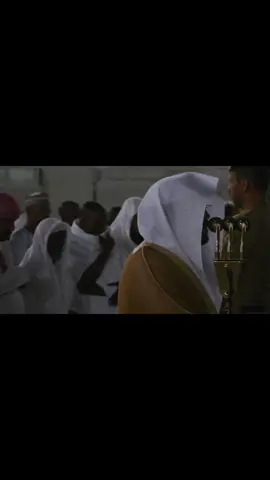 #ياسر_الدوسري #قران_كريم #سورة_هود 