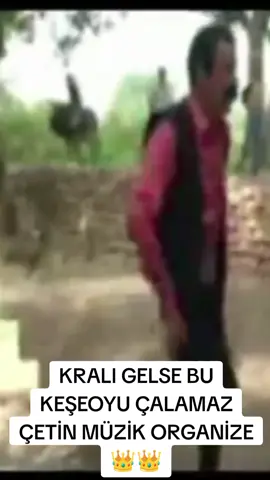 #bismiliçeto #halay #kesfetteyiz #kesfetbeniöneçıkart #tiktokbeniöneçıkart 