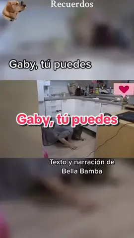 Gaby, tú puedes #historiasdeanimales #bellabamba #historiasdeperros #perro #perrostiktok 