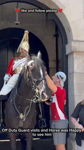 Off Duty Guard visits and Horse was Happy to see him ❤️#royalguard #kingsguard #london 
