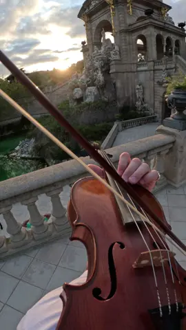 Nothing else matters babyyyy #violin #barcelona #fyp #metallica #metal 