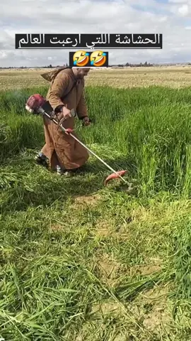 Debrossailleuse 13800da ✅️🔥 #worx_store 