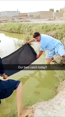 WOAHH #funny #fyp #fishing #fish 