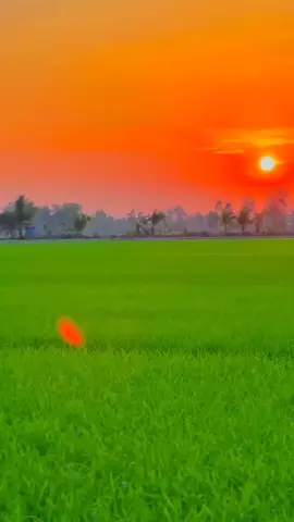 #xuhuongtiktok . thương em mấy đèo cũng qua 🤭#đồngqueyenbinh🍀🌿