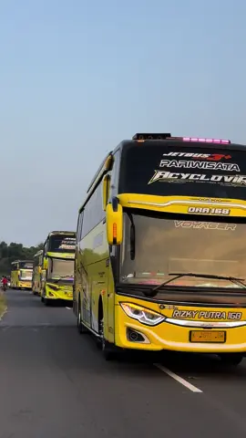 Kali kali kita kasih orginal sound