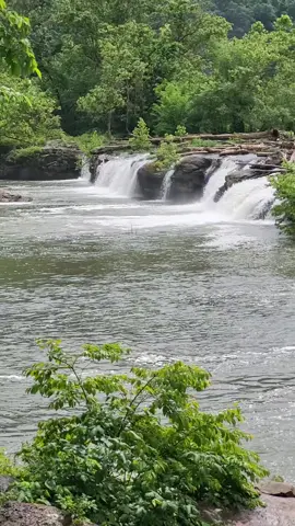 Follow Me, Comment Teamwork, Everyone that likes your comment you're going to Follow, then repost. Let's go! Let's Grow #teamwork #teamworkmakesthedreamwork #followtrain #wv #letsgoletsgrow #smart #viral #repost #dreamwork #follow #train 