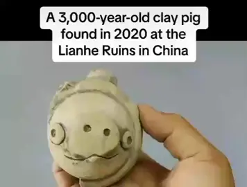 NO WAY #angrybirds #badpiggies #foryou 