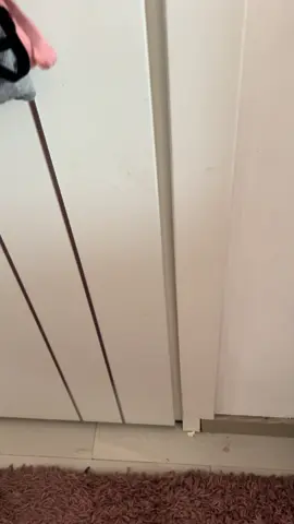 Il mio buingiorno 😍