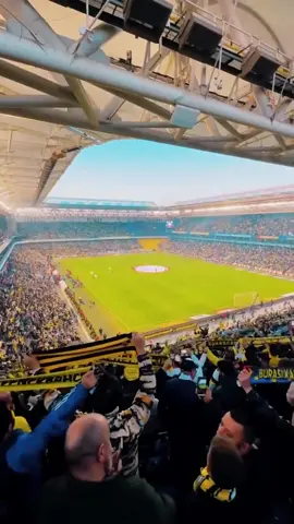 Vedat Alçay - Fenerbahçem ⚡️