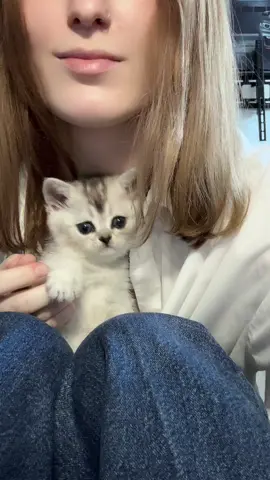 Она буквально сдалась🙆🏼‍♀️