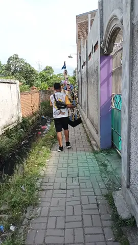 no 1  tournamen  porib bandung  #aleafarmtasikmalaya  #pypシ 