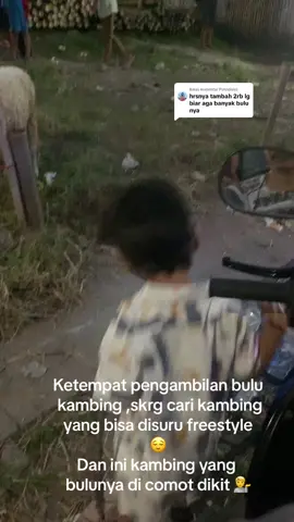 Membalas @Putridisini ketempat pengambilan bulu kambingnya dulu gaessss karna apihnya penasaran dimanaa dan kambing yang mana ,sayang yang ngambilin bulu kambingnya ga ditempat 😉. #beranda #like #tiktok #kurban 