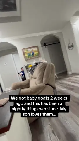 The goats got the zoomies 🤣 #RoadTo15M #Pubity (Whitney Pearson via Viralhog) 