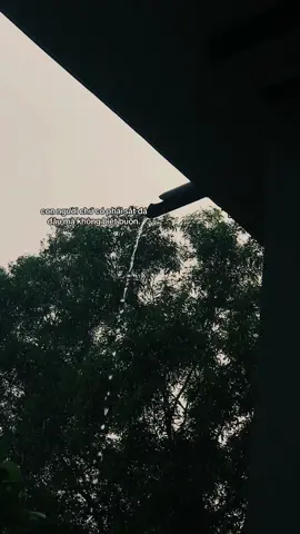 Đau. #nhungthulinhtinhh #xuhuong #buon #mua 