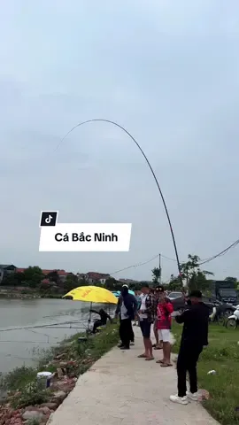 Set kèo thành công nhưng mà #chungnguyenfishing #nướcvàngthảomộc #fishing 