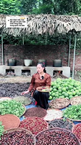 Trả lời @🤧🙈🤧🙈 Dầu gội Việt Nam chứ quốc đâu ra hả trời 😪#livetream #viralvideotiktok #daugoiboketmengao 