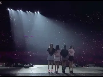 BLINK BLINK 🖤💗 #blackpink #blink #rosé #jennie #jisoo #lisa #ygfamily##ygentertainment 