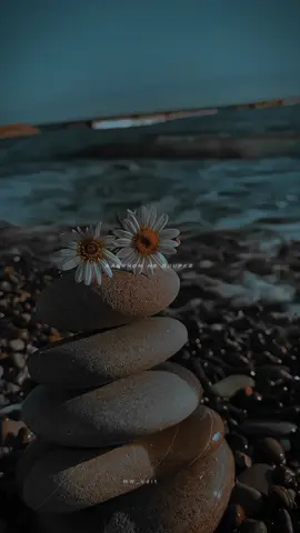 ❤🥀❤ #thissong#aesthetic#Love#status#lyrics#video#romantic#whatsappstatus#hindisong#bollywoodsong#romanticsong#lovesong#lofi#slowedandreverb#capcut#edit#fy#fyp#fypシ#foryou#fypシ゚viral#foryoupage#fyppppppppppppppppppppppp#fypage#explore#explorepage#keepsupporting#tiktok#unfrezzmyaccount#growmyaccount#trending#viral#viralvideo#goviral#viraltiktok#LearnOnTikTok#100k#1millionaudition#japan#CapCut#musicworld✅ 