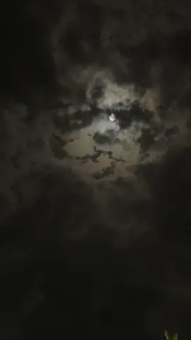 #اكسبلور #viral #قمر 