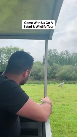 We Couldn’t Believe This Was Local To Us 😍 #fyp #couple #dateday #uksafari #comewithus #couplevlog #husbandandwife #couplestiktok 