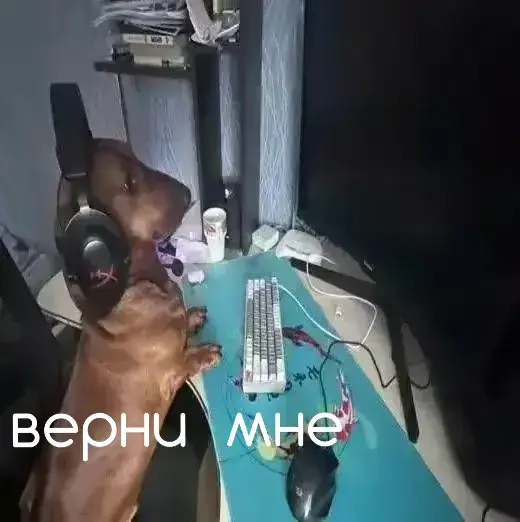 ВЕРНИ ТОЛИКА