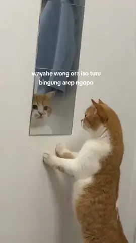 00:30#lewatberanda #quotesjowo #xyzbca #4u #gamon #jowostory #fyp #foryou #fypage #fypシ゚viral #fyppppppppppppppppppppppp #bergadang 