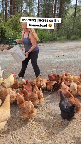 #fyp #farmlife #farmanimals 
