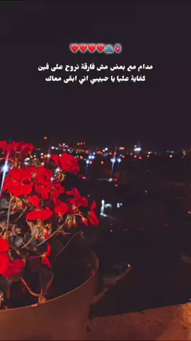 بكون يا حبيبي انا راضي وبكون مبسوط #fyp #fypシ゚viral #fyb #foryou #foryoupage #viral #video #explore #ramygamal #اكسبلور  #رامي_جمال 