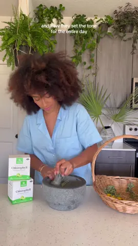 Health and wellness for breakfast, yes pls! Get your @naturessunshineproducts #Chlorophyll Stick Packs to support natural detox to balance the gut, using my link in bi0 😋🌿  #NaturesSunshinePartner #NaturesSunshine #PlantTok