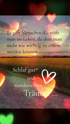 #liebe #schlafgut #schöndasesdichgibt #tiktok 