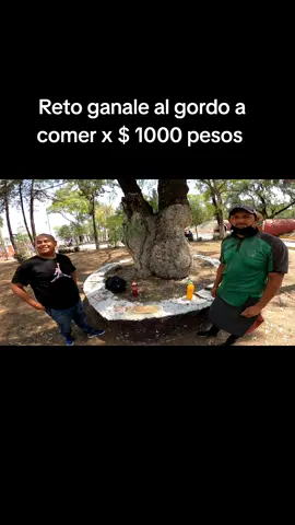Reto ganale al gordo a comer  #paratii #fyp #fypシ #videoviral #tiktok #paratiiiiiiiiiiiiiiiiiiiiiiiiiiiiiii #viral #retos #comida 