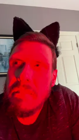 #creatorsearchinsights why the sudden switch sometimes? 😖 #cat #evil #bite #catsoftiktok #catlover #mean 