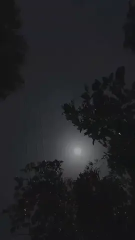 কি চমৎকার আবহাওয়া আজ! বুঝতে পারছি না এক কাপ চা খাবো নাকি গলায় ফাঁস নেবো! 🙂 #nokibfahim (🌼)