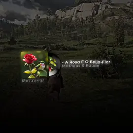 da rosa e o beija-flor