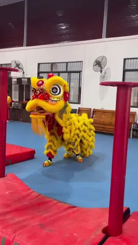 🇨🇳 2024 广西贵港冲口龙狮团 Train pro🫡🫡🫡 #马来西亚 #malaysia #malaysiatiktok #liondance #mualan #tariansinga #barongsai #醒獅 #醒狮 #舞狮 #liondancer #liondanceperformance #liondancecompetition #liondancelife #高桩 #高桩舞狮 #高桩舞狮🦁 #高桩舞狮表演 #舞狮生活 #舞狮比赛 #舞狮表演 #舞狮运动 #liondancemalaysia #liondance2024 #múalan #múalan2024 #lansurong #lansurong2024 #liondancing   #liondancedrum #liondancedruming  #barongsaitiktok #barongsai2024 #传统 #传统文化 #traditional  #台上一分钟台下十年功   #respect #中国 #china #liondancechina #chinatiktok 