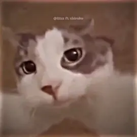 jangan meremehkan orang lain dari fisiknya dan jangan lupa untuk bersyukur 😁👍#ustadzabdulsomad#memedakwah#memehalal#ceramahpendek#fypシ゚viral#masukberandafyp#fyp 