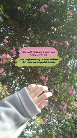 مسار السماء لا يمكن رؤيته بالعين، ولكن بإذن الله سيتم ترتيبه jalur langit memang tidak bisa dilihat oleh mata tapi insyaallah tertata  #jalurlangit #fypp #quotes #arabicsong #syairarab #syaircinta #quotesislamic #selfreminder  #quotesarabic #quotesarabindo #qoutes #qoutesislami #qoutesoftheday #qoutesaesthetic   #syaircinta #syairarab   #4you #remindertomyself #reminderislamic #reminderquotes #reminders #cinta  #4u #bunga 